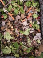 Bio Kompostwürmer Wurmkiste Wurmfarm Wurmhotel Würmer Kompost Bayern - Küps Vorschau