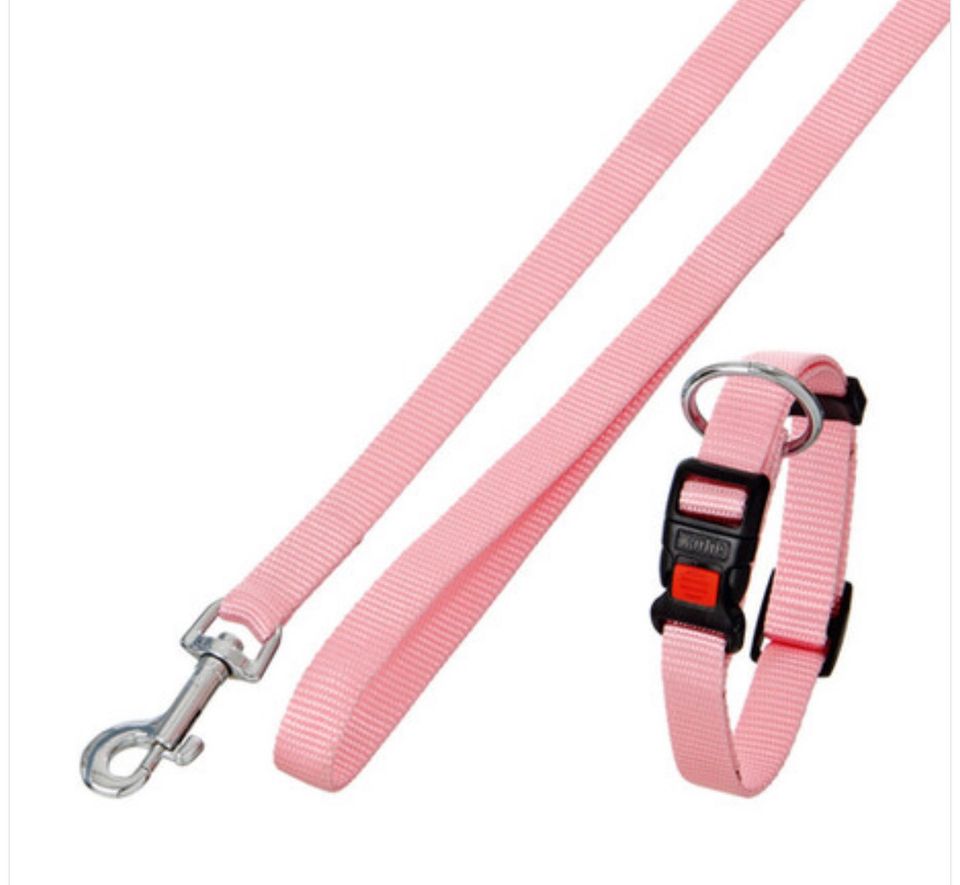 Welpenset Leine & Halsband - rosa in Wanzleben