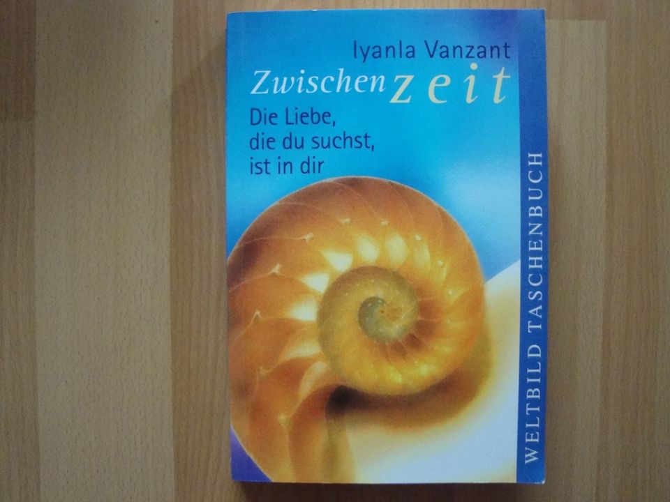 Iylanla Vazant „Zwischen Zeit.“ **sehr gut erh.**** in Kaiserslautern