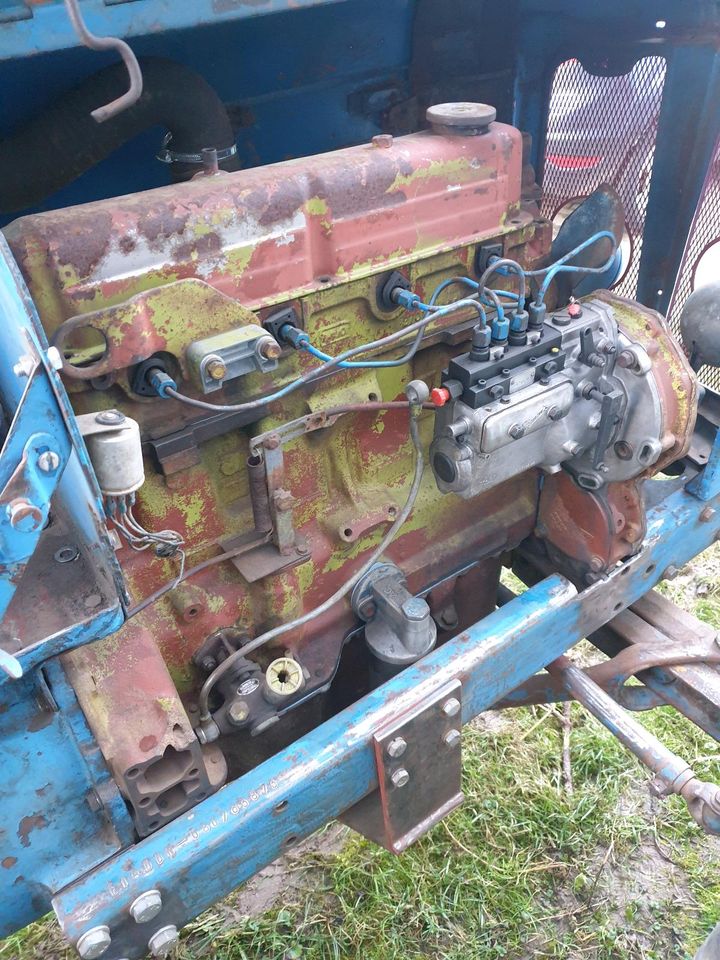 Fordson Super Major Oldtimer Traktor Schlepper in Ammerbuch