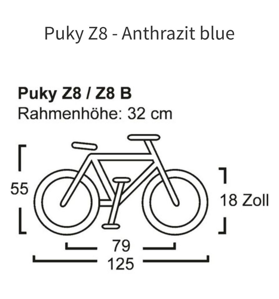 Puky Kinderfahrrad 18 Zoll in Bad Segeberg