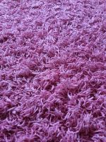 Hochflor Teppich rosa pink Kinderzimmer 200 x 200 Bayern - Straubing Vorschau