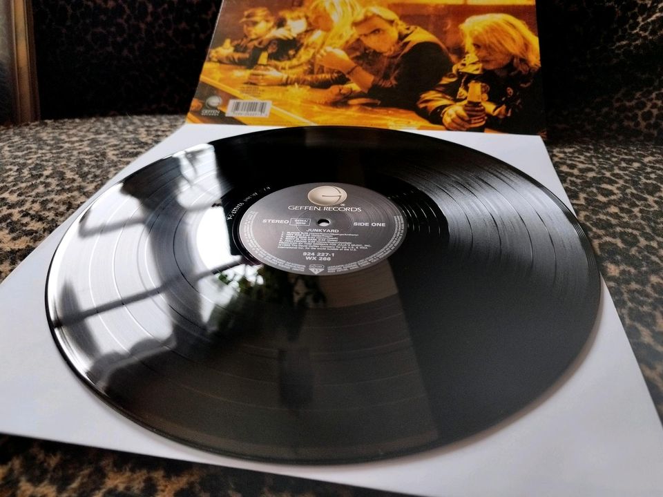 Heavy Death Metal, Hard Rock, Schallplatten Sammlung Vinyl ab in Döbeln