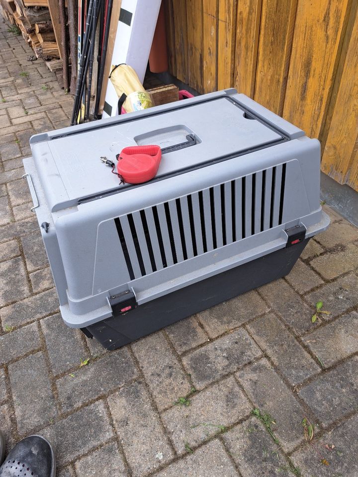 Hundebox/Transportbox in Regen