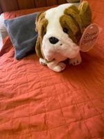 verkaufe englische Bulldogge 35 cm sitzend neu Sachsen-Anhalt - Aschersleben Vorschau