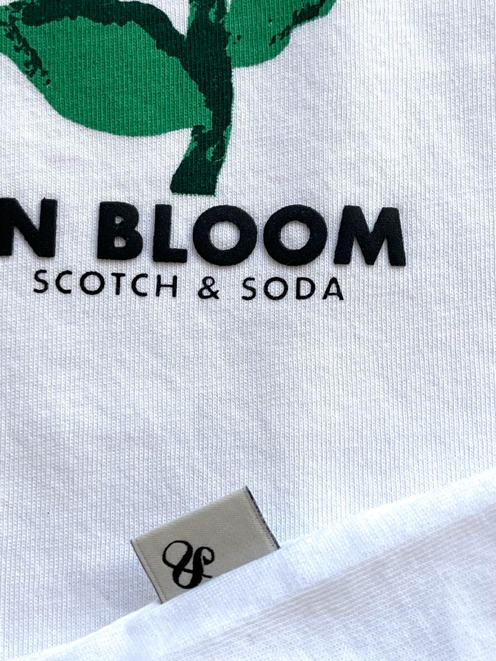 Scotch & Soda T-Shirt, 100% Bio-Baumwolle in Darmstadt