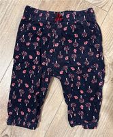 Babyhose Topolino Gr. 68 Cord bequem blau pink Hamburg-Nord - Hamburg Hohenfelde Vorschau