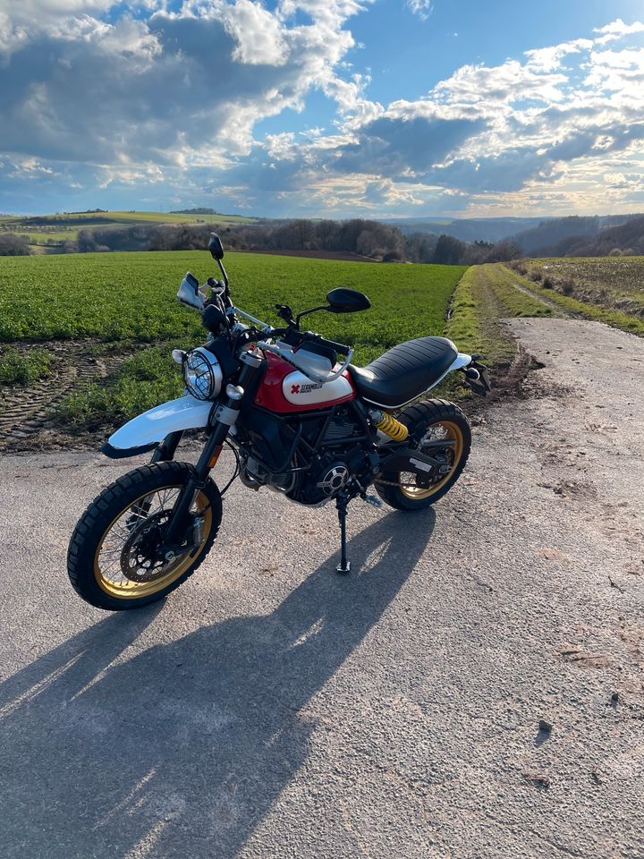 Ducati Desert Sled (Verkauf bis 08.06.24) in Wallhalben