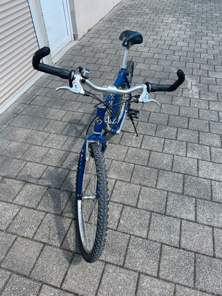 Damen Fahrrad // Marke: Focus in Schorndorf