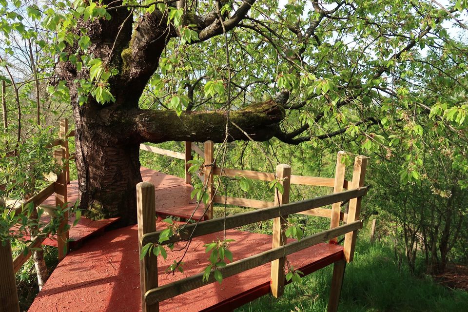 Idyllisches Gartengrundstück in Esslingen