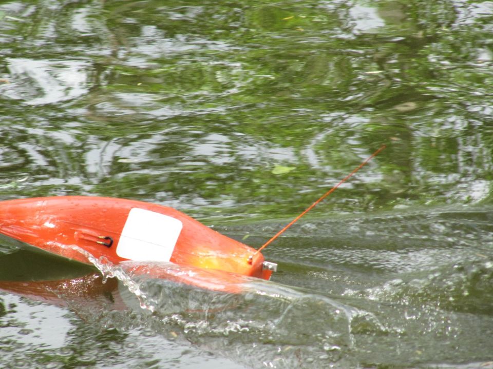 RC Rennboot Kohlefaser in Ingelheim am Rhein