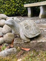 Granit Schildkröte Nordrhein-Westfalen - Herzogenrath Vorschau