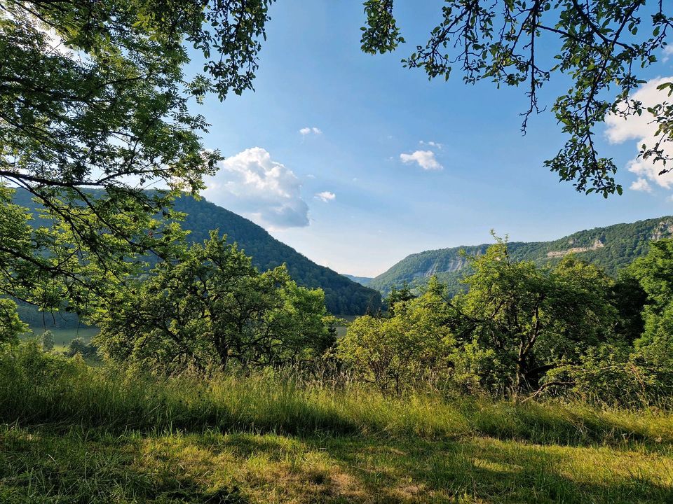 Wiese / Freizeitgrundstück in Bad Überkingen in Geislingen an der Steige