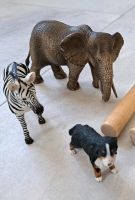 Schleichtiere Zebra, Hund, Elefant Bochum - Bochum-Mitte Vorschau