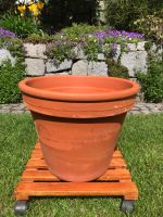 Blumentopf Pflanzgefäß Übertopf Terracotta Hessen - Eppertshausen Vorschau