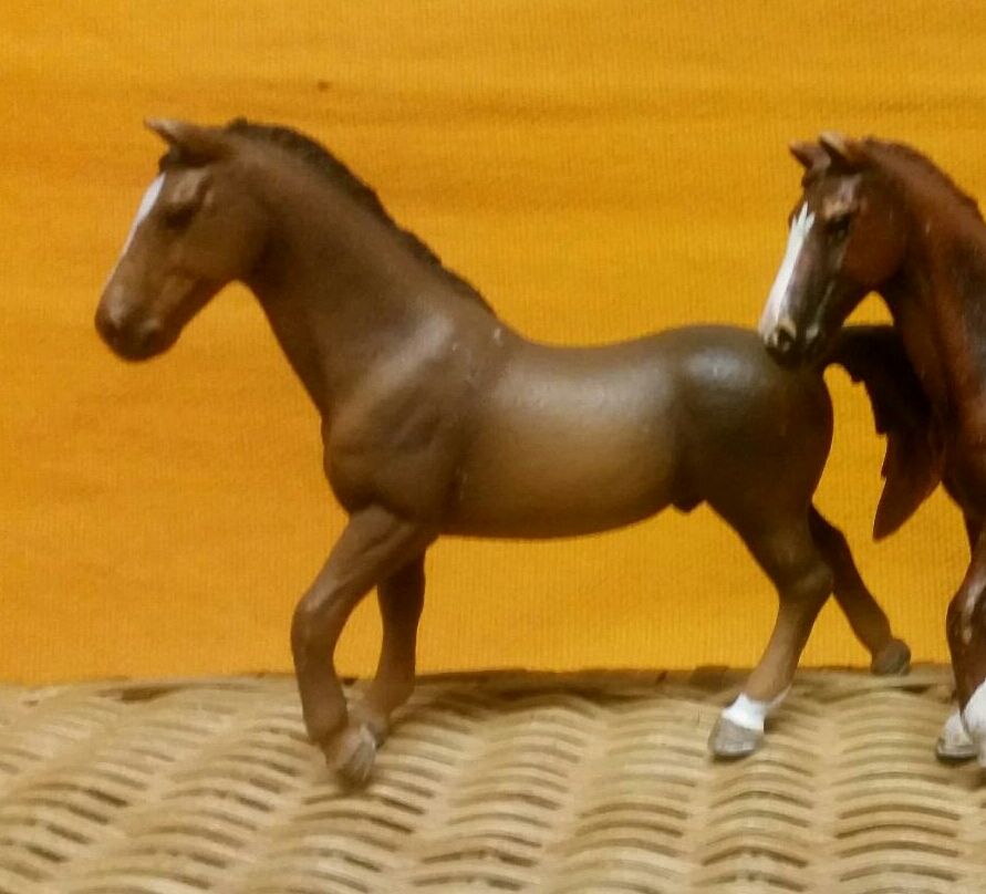 Schleich-Pferde Trakehner Pinto Mustang exclusiv Tinker exklusiv in Drensteinfurt