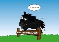 Ponyführerschein, reiten, Pony, Shetty, Unterricht Nordrhein-Westfalen - Erftstadt Vorschau
