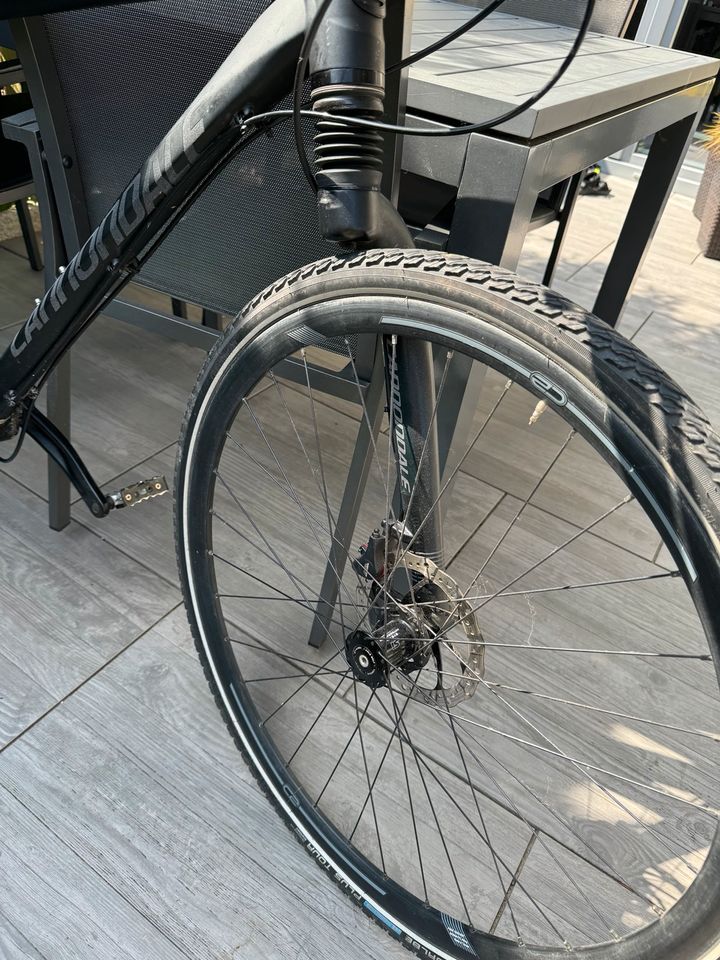 CANONDALE “Bad Boy” Alfine Urban Bike, Rahmen L, mat black in Rostock