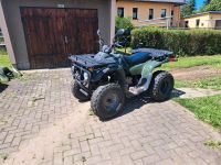 Quad MZ Bison Sachsen - Lößnitz Vorschau