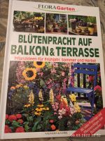 Blütenpracht auf Balkon und Terrasse Sachsen - Markneukirchen Vorschau