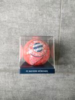 Mini-Puzzleball FC Bayern Nordrhein-Westfalen - Paderborn Vorschau