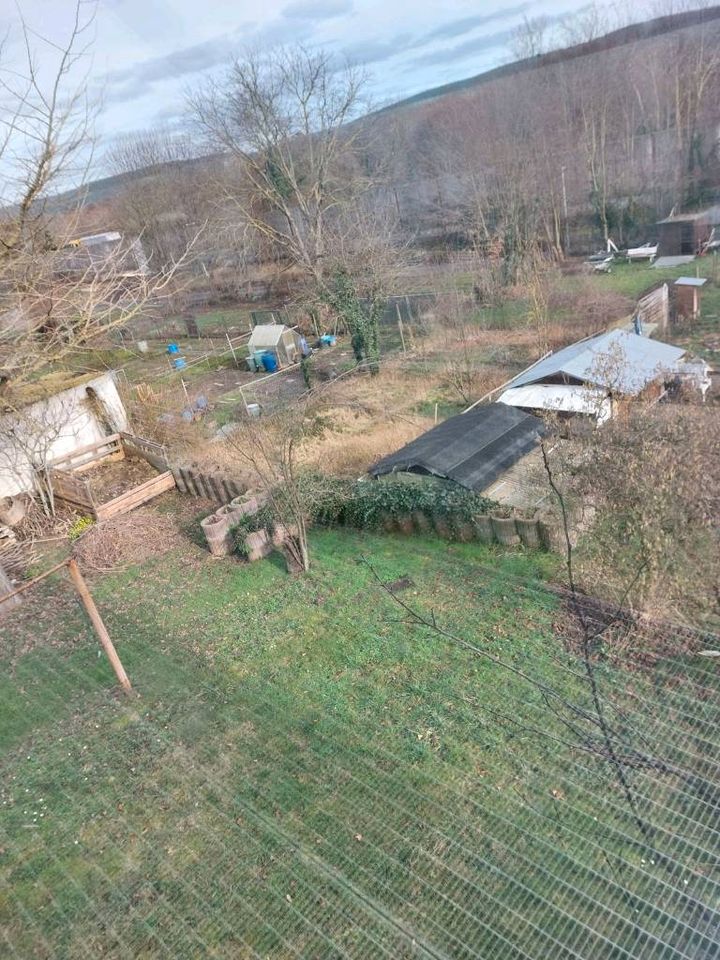 Garten zu verpachten in Obernburg Frühlingsstr.250 qm in Miltenberg