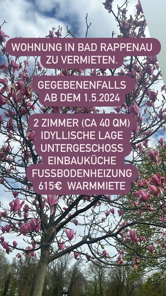 2 Zimmer Wohnung BAD RAPPENAU!!! (Heilbronn) 615 kalt ab 1.5.2024 in Bad Rappenau