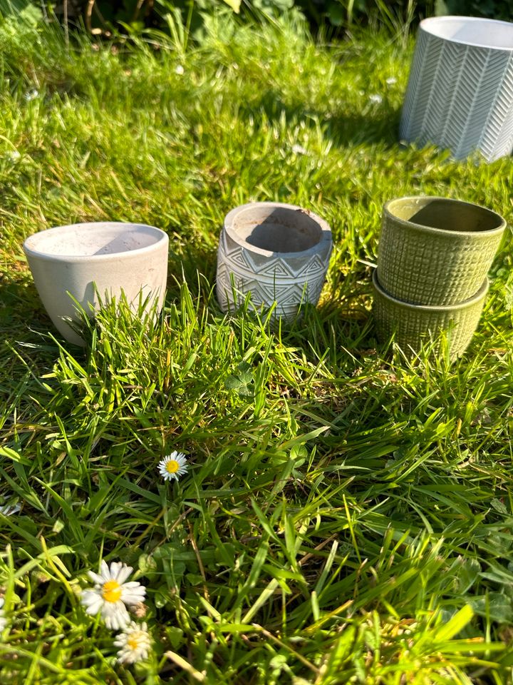 Blumentöpfe verschiedene Farben Formen Grössen Blumentopf in Greven