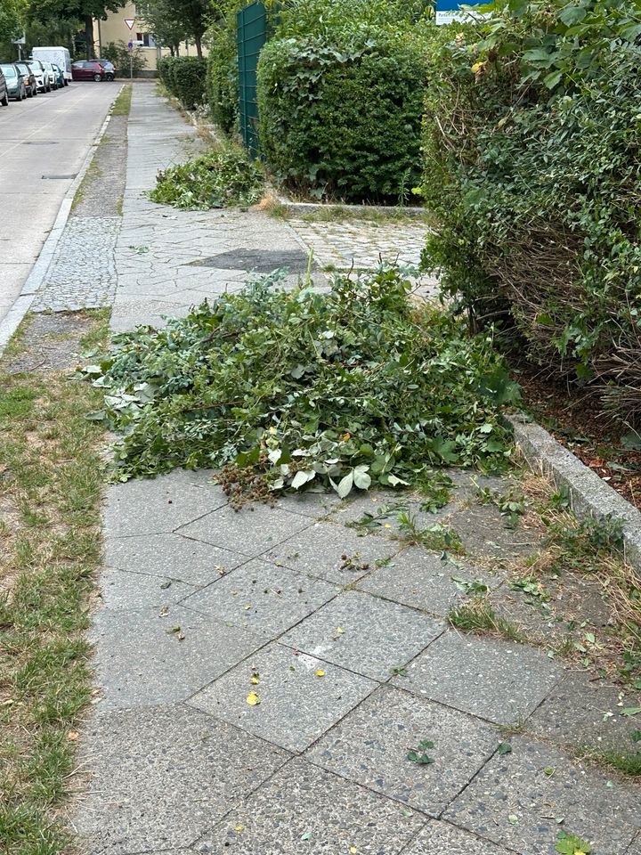 Entsorgung von Grünschnitt Gartenabfällen Berlin und Brandenburg in Berlin