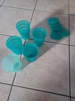 Tupperware 5 Trinkbecher 330 ml Schleswig-Holstein - Twedt b Schleswig Vorschau