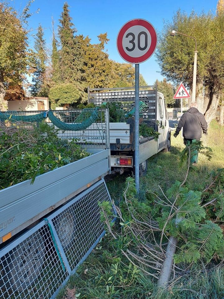 Entsorgung / Lieferung in Quedlinburg OT Gernrode