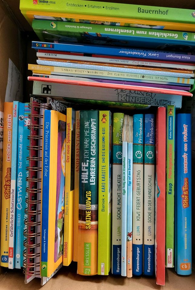 Kinderbücher, DVDs und CDs in Rodenbek