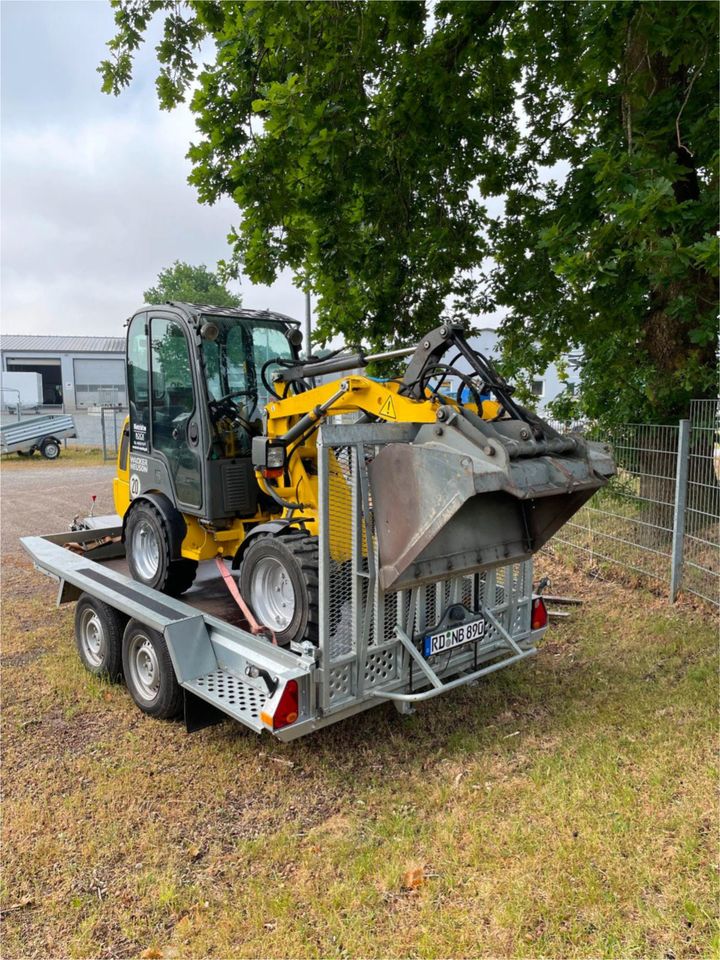 Radlader WL 25, 2,5 t Nr. 250/1 zu vermieten in Owschlag