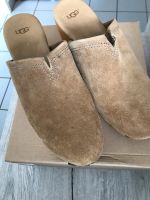 UGG Clogs gr. 40, neu Aachen - Aachen-Brand Vorschau