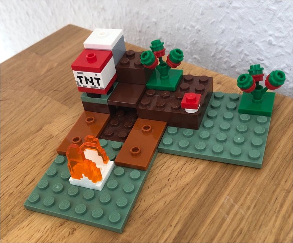 LEGO Minecraft Das Taiga Abendteuer 21162 in Schenefeld