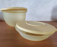 NEU Tupperware Schüsseln Impressions 1,3l 400ml 3095d-6 3470a-2 Bayern - Flossenbürg Vorschau