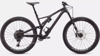 Specialized Stumpjumper EVO PRO Carbon 29 Zoll Größe S3 Baden-Württemberg - Ludwigsburg Vorschau