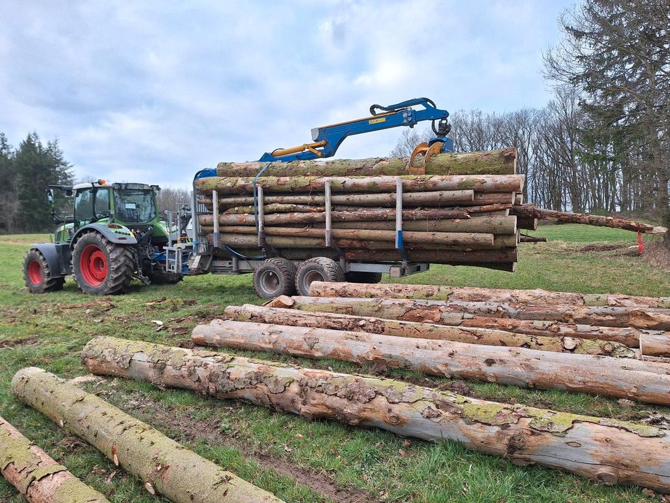 Holztransport Stammholz Rückearbeiten in Bad Münstereifel