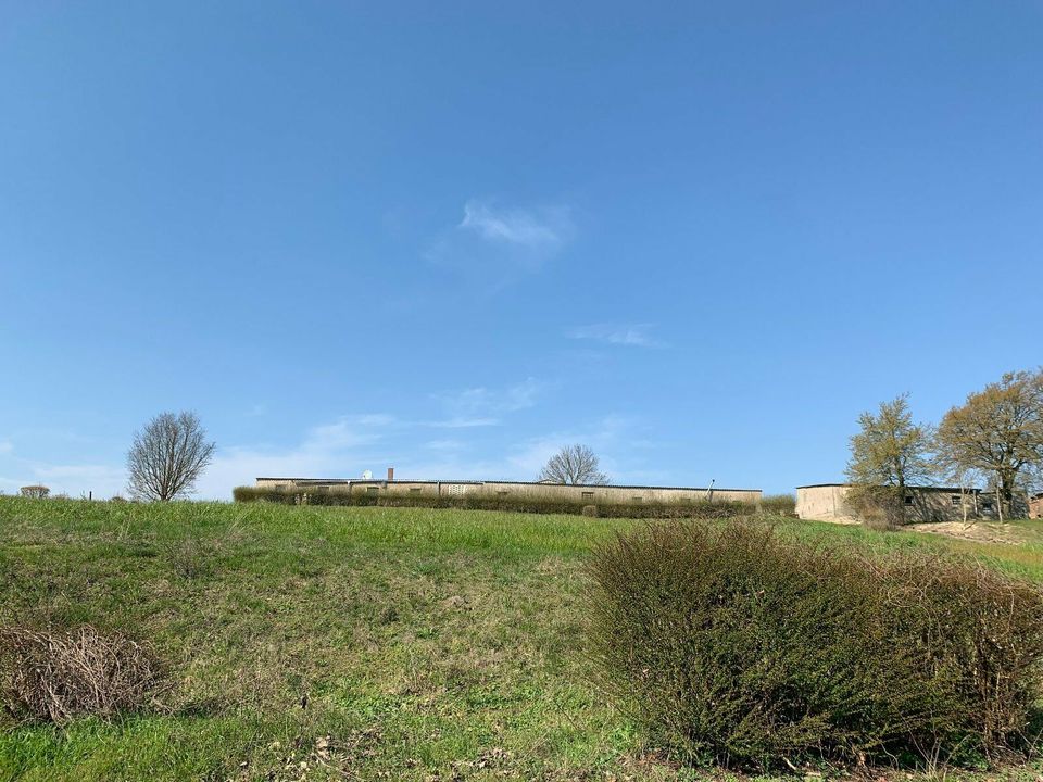 Nähe zur Ostsee nutzen Grundstück in 17335 Strasburg (Um.), Thomas