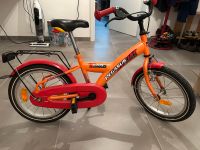 Pegasus Kinderfahrrad 16 Zoll Baden-Württemberg - Hügelsheim Vorschau