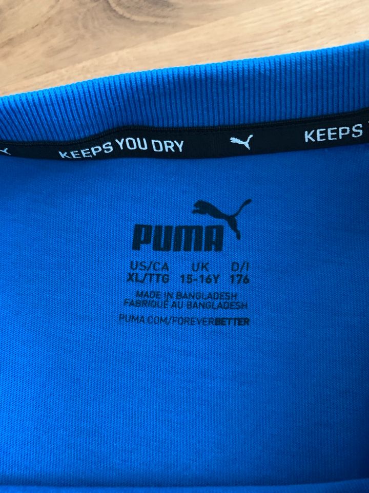 PUMA T-Shirts Gr.176 in Straubing