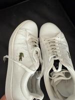 lacoste schuhe Innenstadt - Köln Altstadt Vorschau