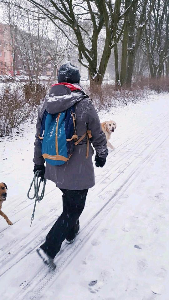 Extra-Runde für Ihren Hund in Altenau