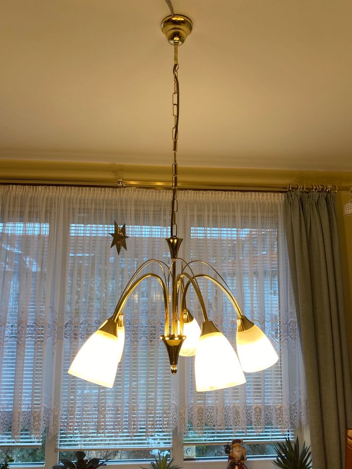 Wohnzimmerlampe in Dresden