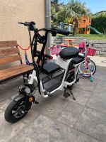 E-Scooter E-bike Nordrhein-Westfalen - Wassenberg Vorschau