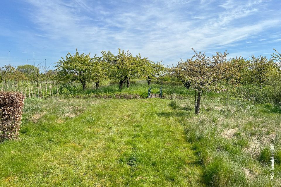 Altes Land-Grünendeich: Wunderschönes Architektenhaus in bester Lage auf großem Grundstück, nahe HH in Grünendeich Niederelbe