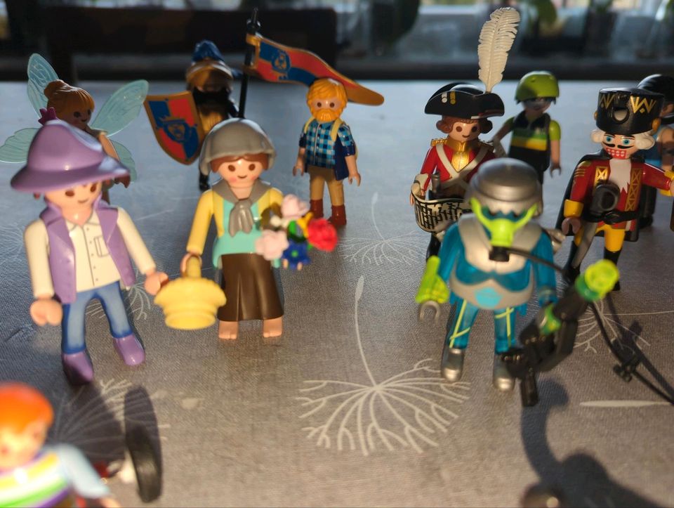 Playmobil Spielfiguren in Frickenhausen