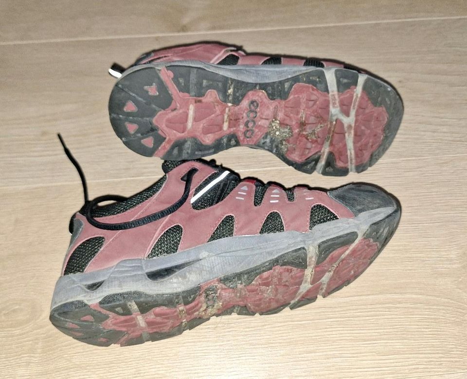 Ecco Turnschuhe Wanderschuhe Gr 38 in Hersbruck