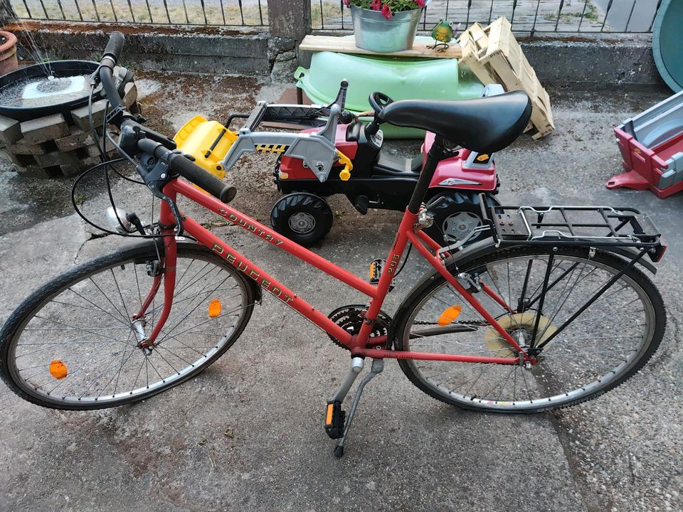 Peugeot Damenrad in Hochspeyer