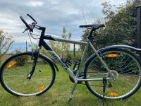 Herren Fahrrad 28“ Nordrhein-Westfalen - Nideggen / Düren Vorschau